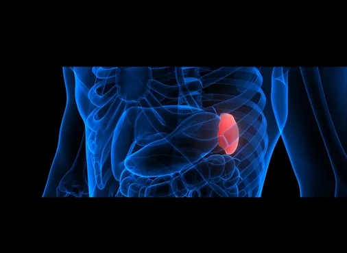 Splenic Cyst consultation at Niraaya Hospital
